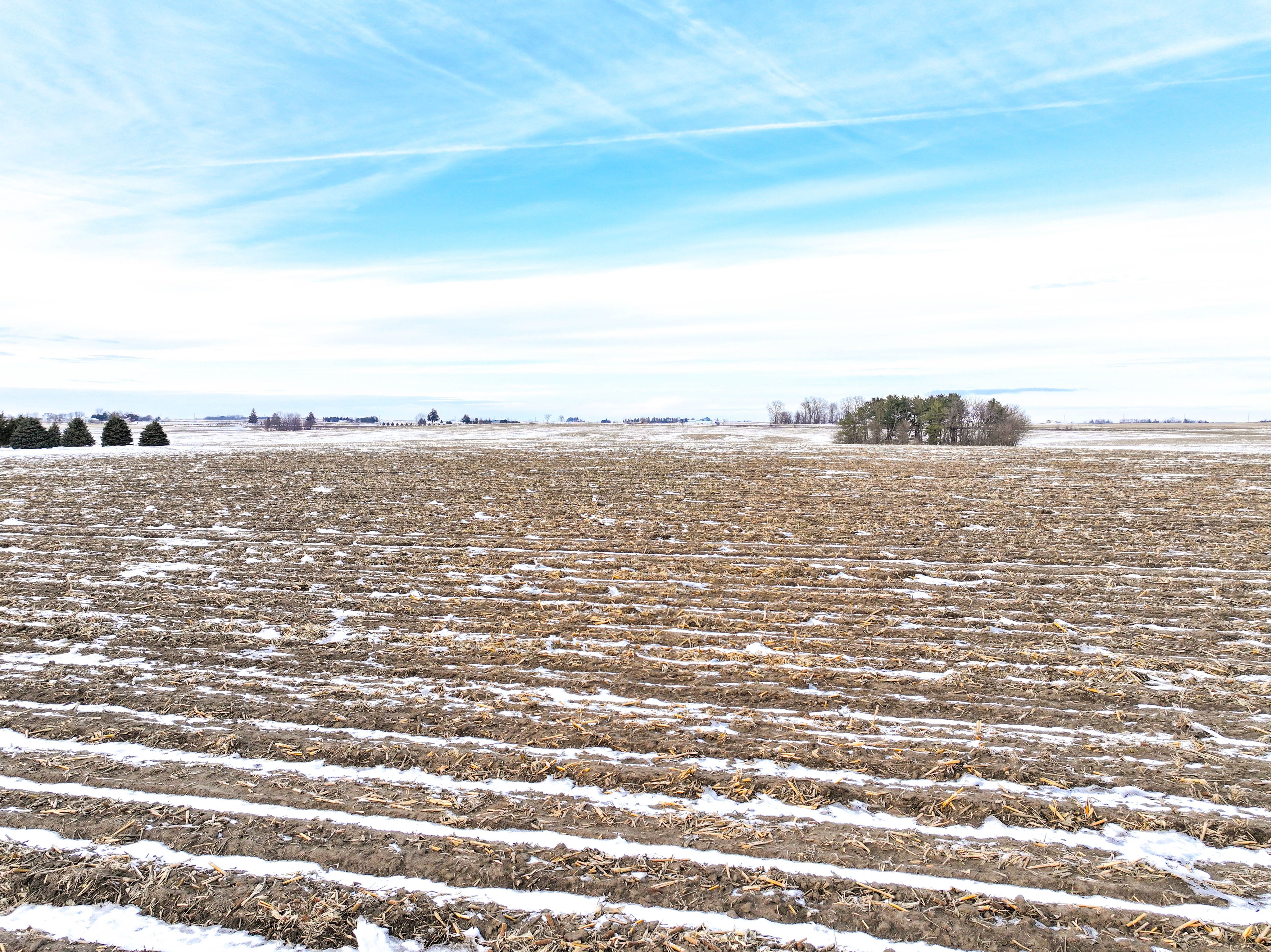Listing Photo: 13_Jesup Land Auction